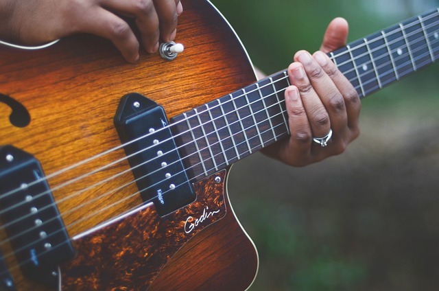 Soulful Strings: The Role of Instruments in Shaping Blues Music