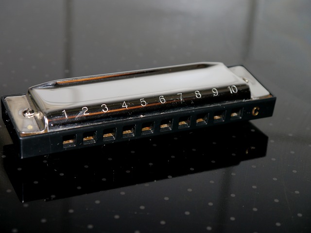 harmonica